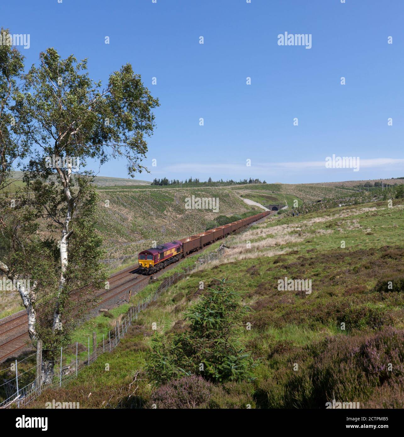 DB Cargo classe 66 locomotiva 66119 lasciando il portale sud di Rise Hill Tunnel con un treno merci sul posto per la linea ferroviaria Carlisle. Foto Stock