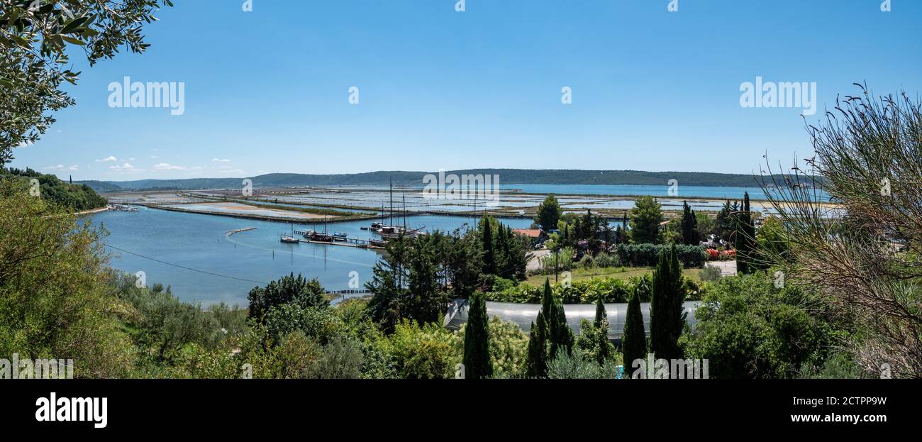 Paesaggio salino di acqua salata in Slovenia Foto Stock
