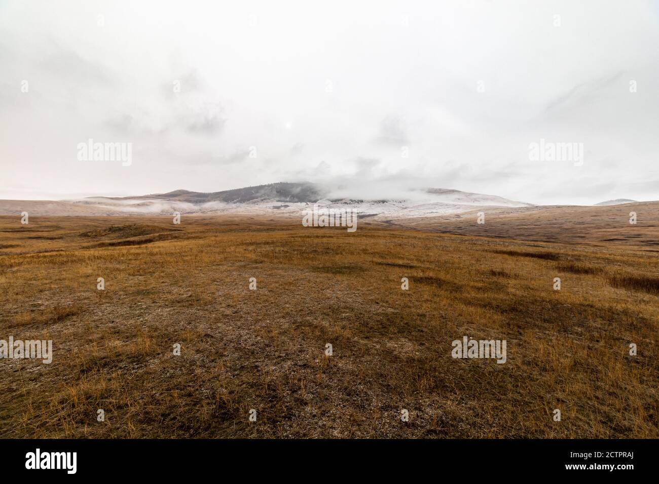 Il paesaggio invernale, osceno, vuoto e arido, al National Bison Range Wildlife Refuge, Montana, USA Foto Stock