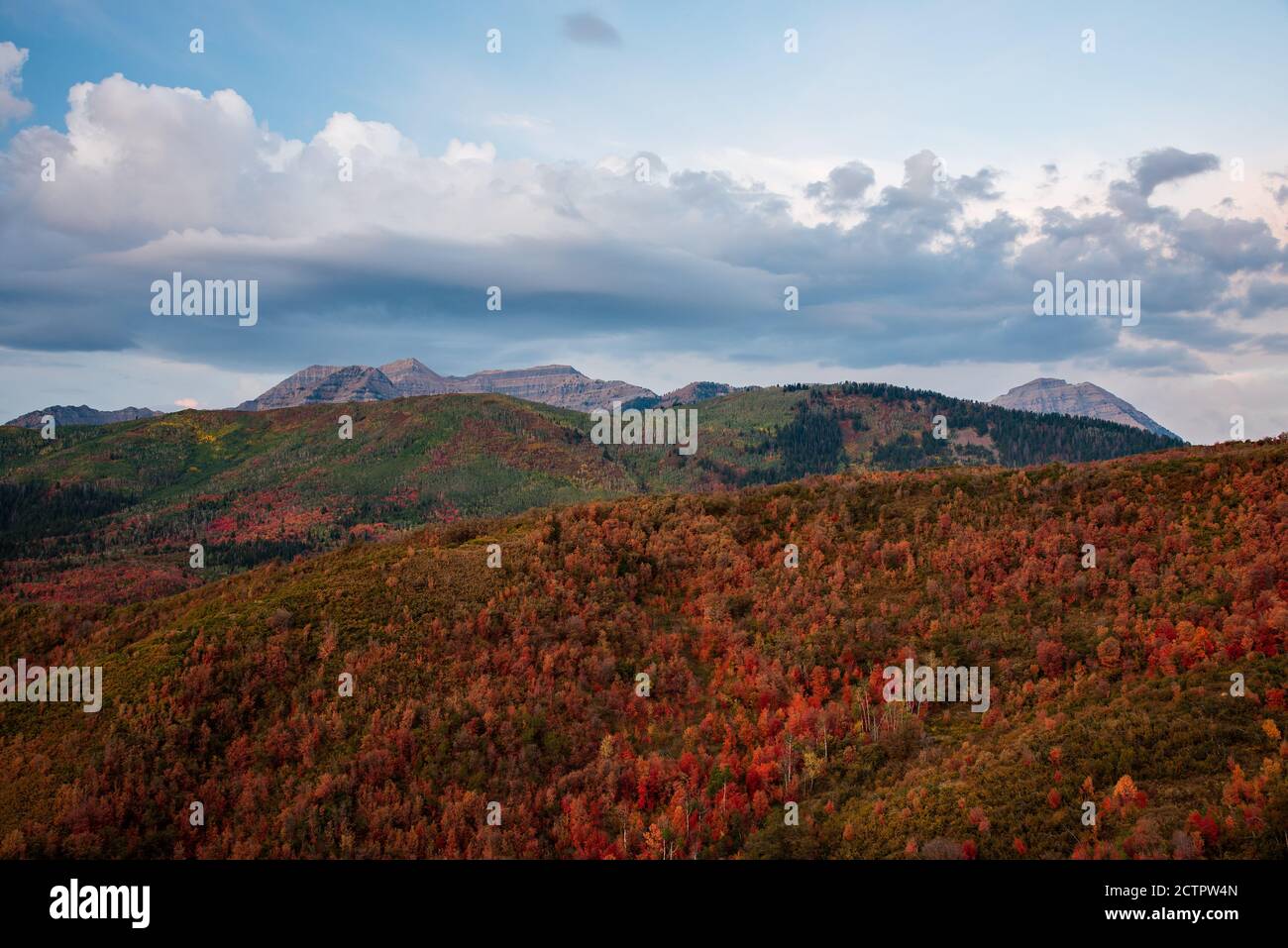Colori autunnali del famoso circuito alpino nell'American Fork Canyon, Utah, USA. La stretta e tortuosa strada del "Loop" offre un suggestivo paesaggio autunnale. Foto Stock