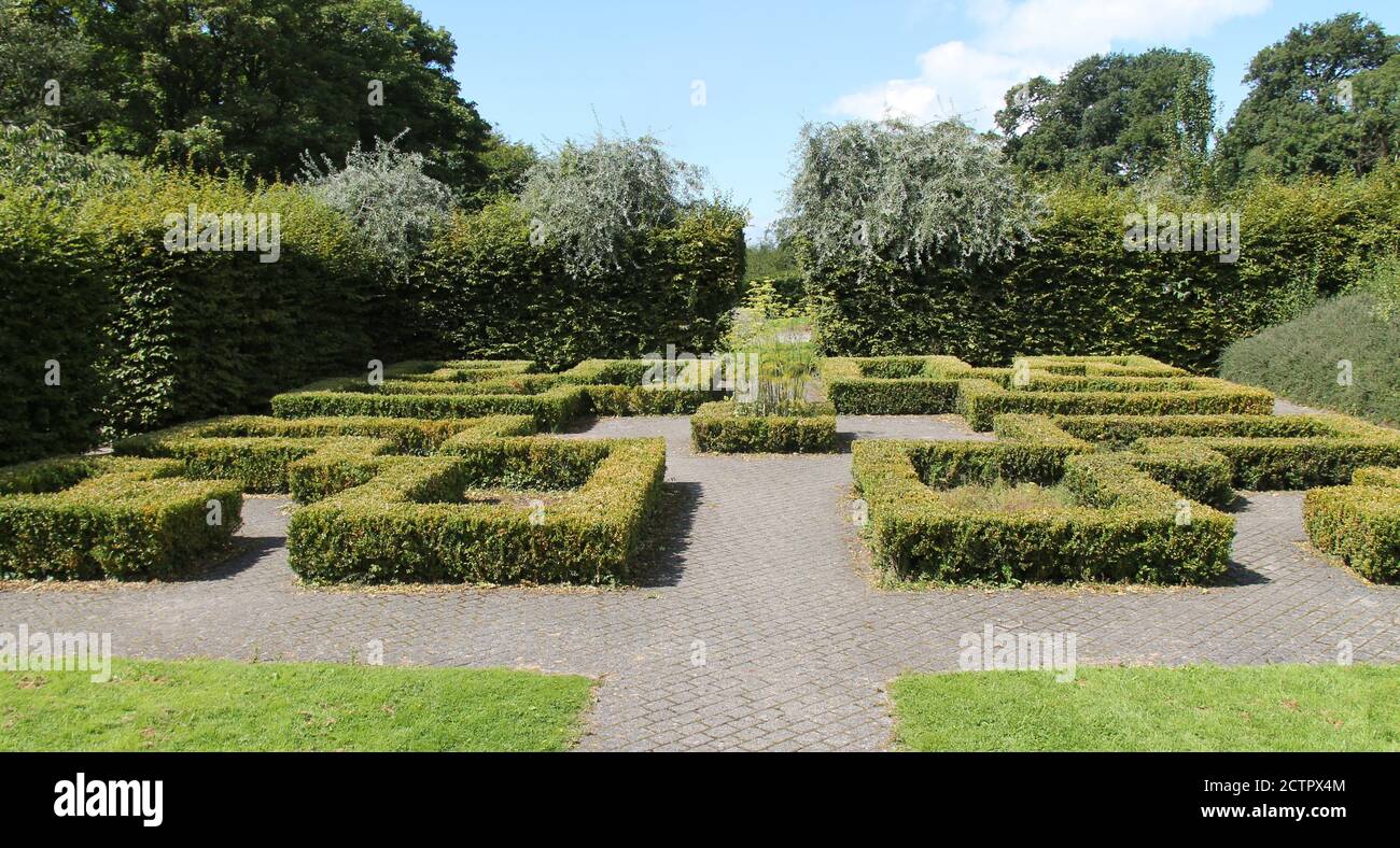 Bordi quadrati a taglio basso in un giardino di proprietà formale. Foto Stock