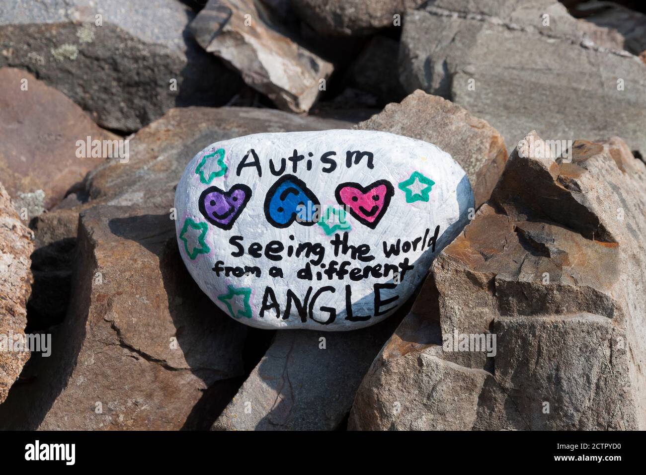 Roccia dipinta con messaggio ispiratore circa autismo. Foto Stock