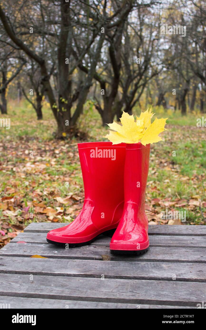 Stivali in gomma rossa sullo sfondo di un parco autunnale. Foglie gialle luminose, foto verticale Foto Stock