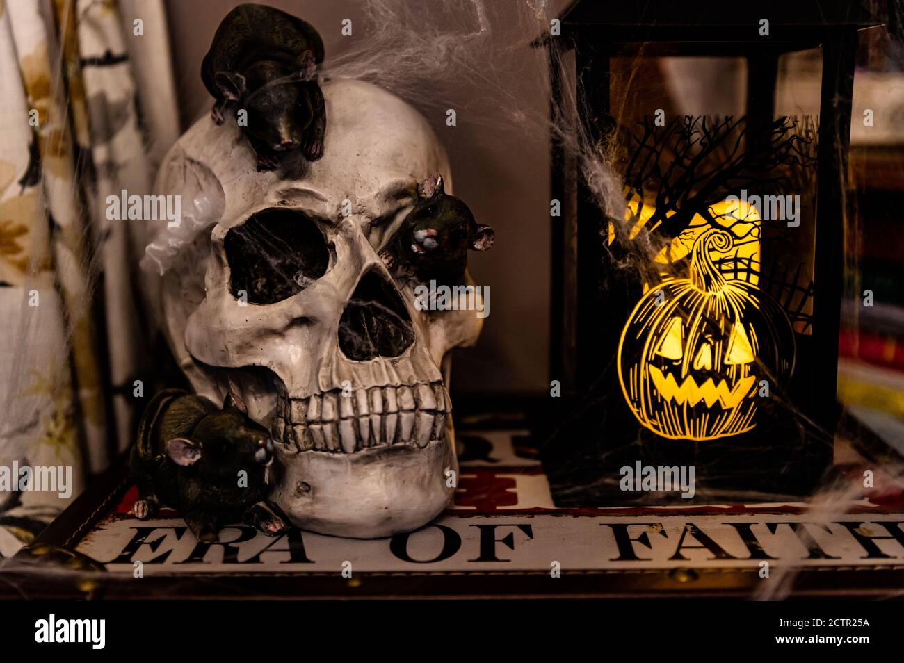 Cranio e lanterna di Halloween sedettero sulla custodia del libro in casa coperto in ciottwebs Foto Stock