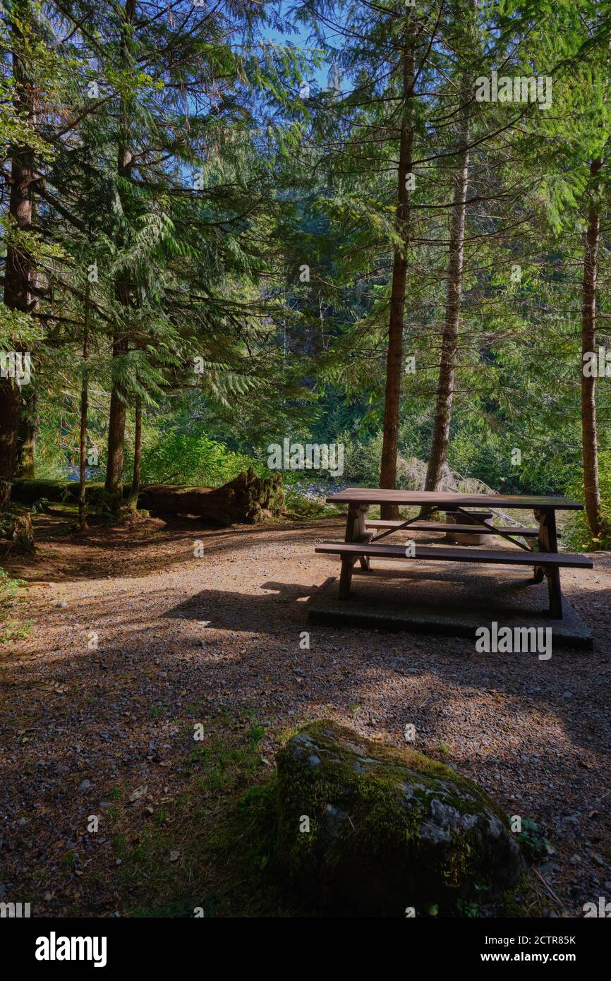 Bel campeggio boschivo, tranquillo e privato accanto al fiume Ralph nel Parco Provinciale di Strathcona, Isola di Vancouver, BC Foto Stock