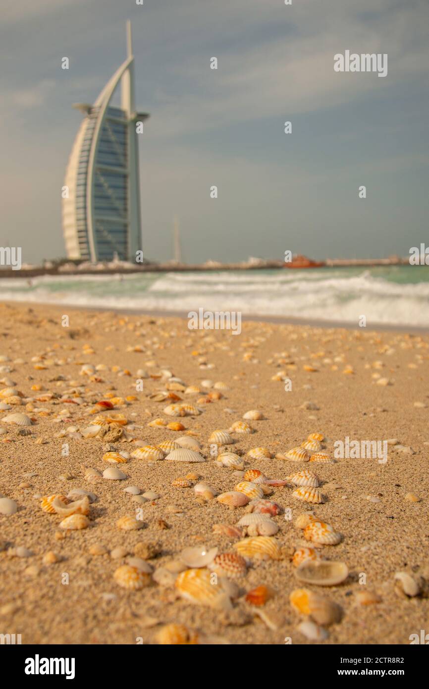 Conchiglie del Burj al Arab sulle rive del Golfo Persico a Dubai, Emirati Arabi Uniti (Emirati Arabi Uniti). Foto Stock