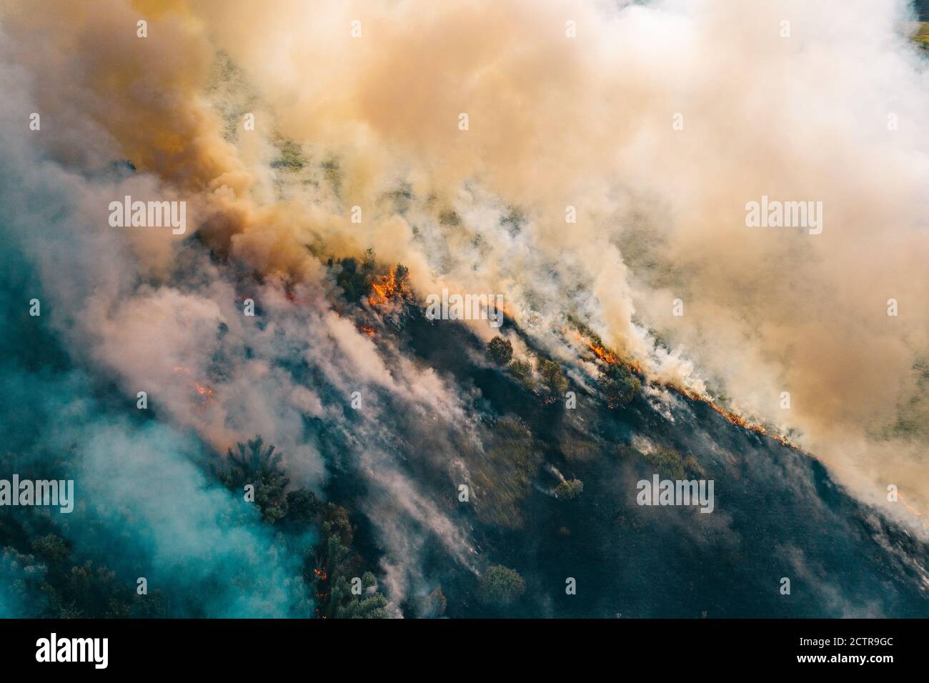 Fumo e fiamma natura fuoco foresta dopo stagione secca, vista aerea dall'alto dal drone. Foto Stock