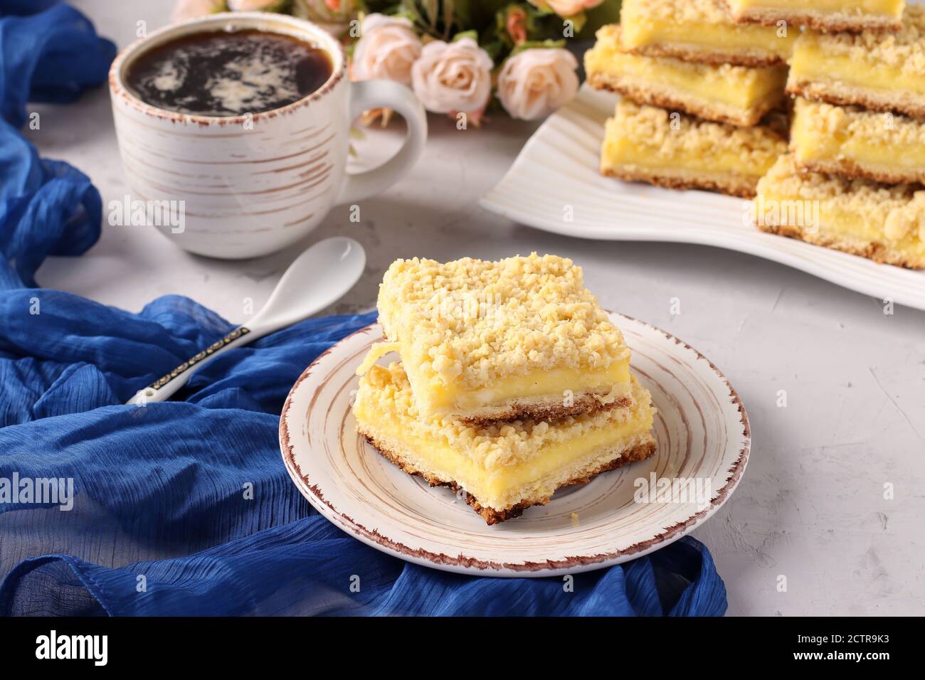 Biscotti grattugiati viennesi con ripieno di cagliata su sfondo grigio, Closeup, formato orizzontale Foto Stock