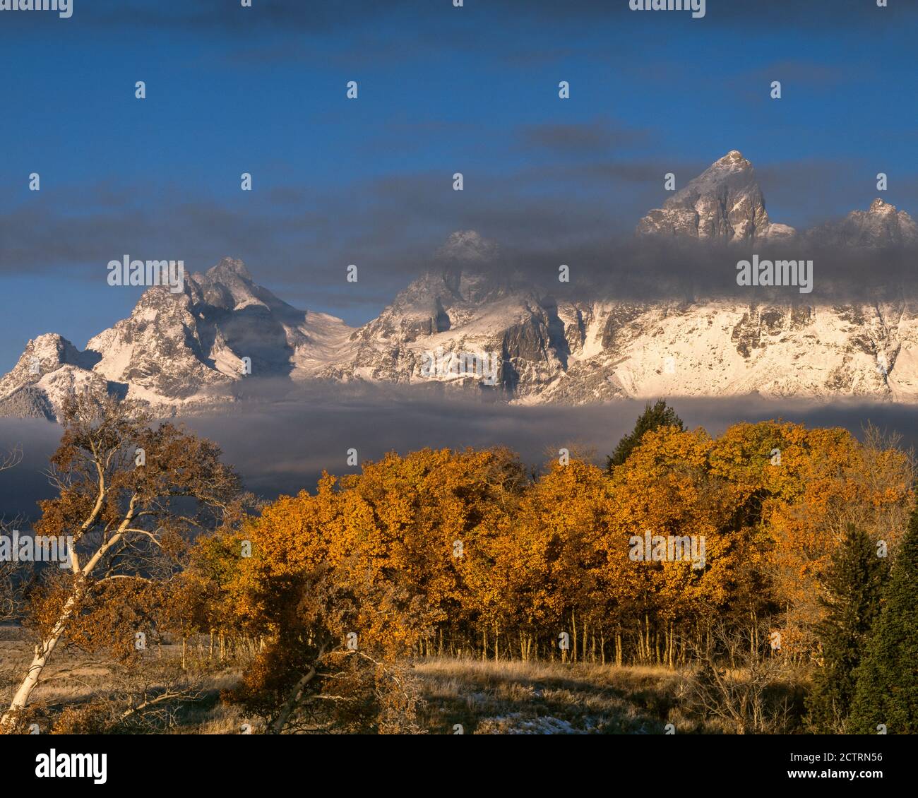 Sunrise, Grand Teton, Teton Range, Grand Teton National Park, Wyoming Foto Stock