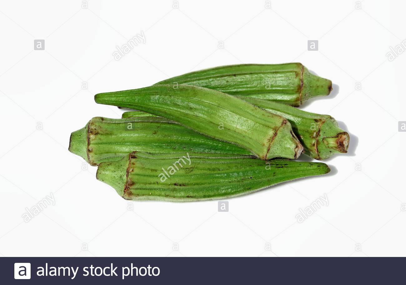 Quimbombo Immagini E Fotos Stock Alamy Traducir molondrón significado molondrón traducción de información sobre molondrón en el diccionario y enciclopedia en línea gratuito. https www alamy it abelmoschus esculentus ortaggi interi detti anche okra quimbombo quingombo gombo molondron ocra bamia candia o abelmosco image376691742 html