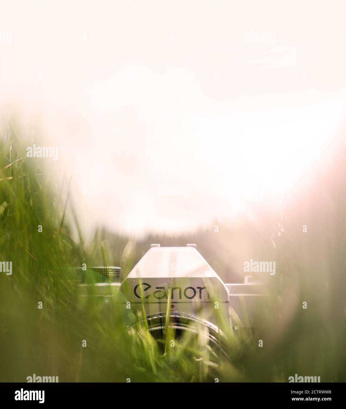 Una fotocamera classica vista attraverso l'erba alta. Spazio di copia. Foto Stock