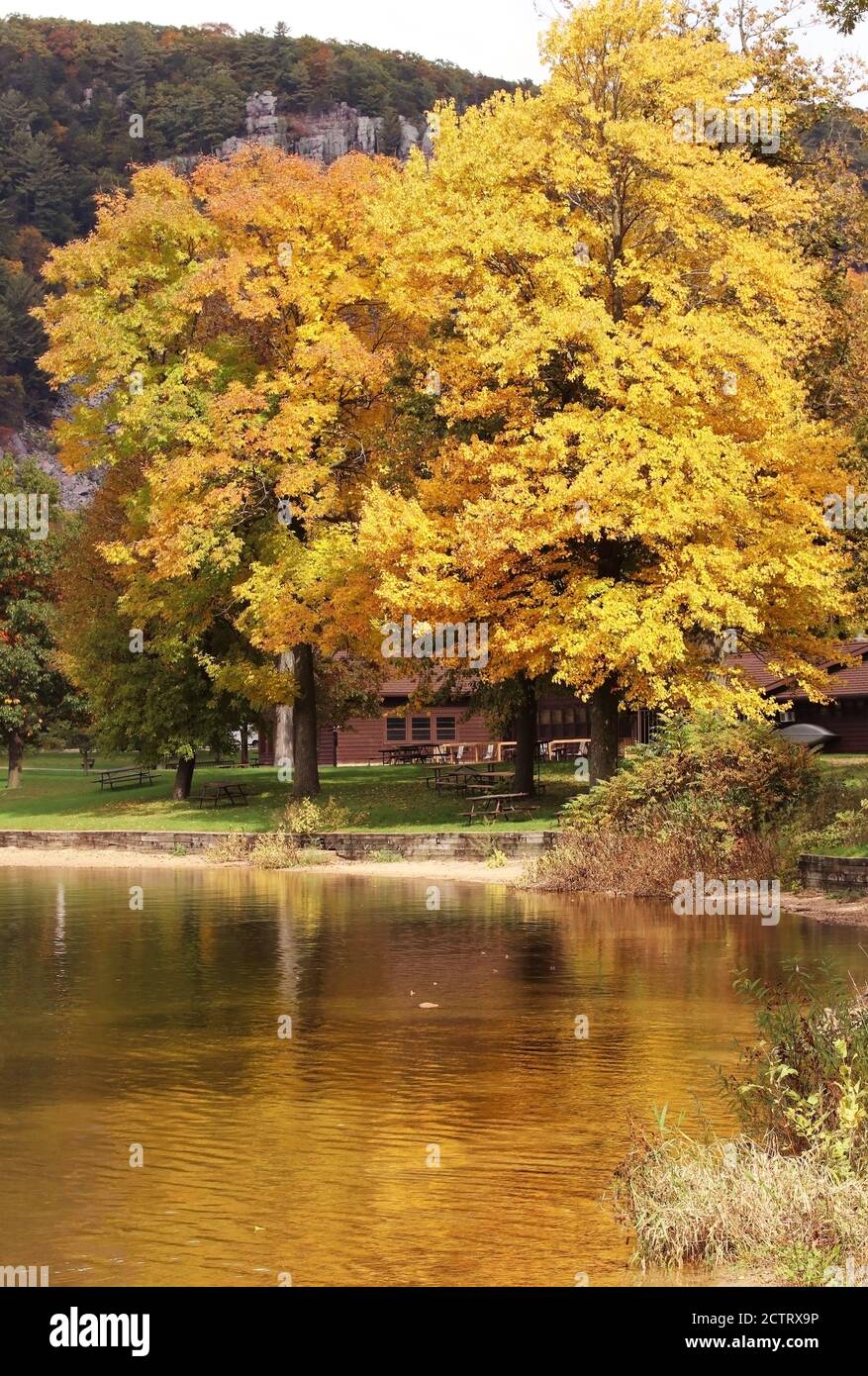 Titolo Wisconsin autunno natura sfondo. Paesaggio scenico con alberi dai colori brillanti presso il Devil's Lake state Park, sulla riva sud. Baraboo, Wisconsin, Midwest USA Foto Stock