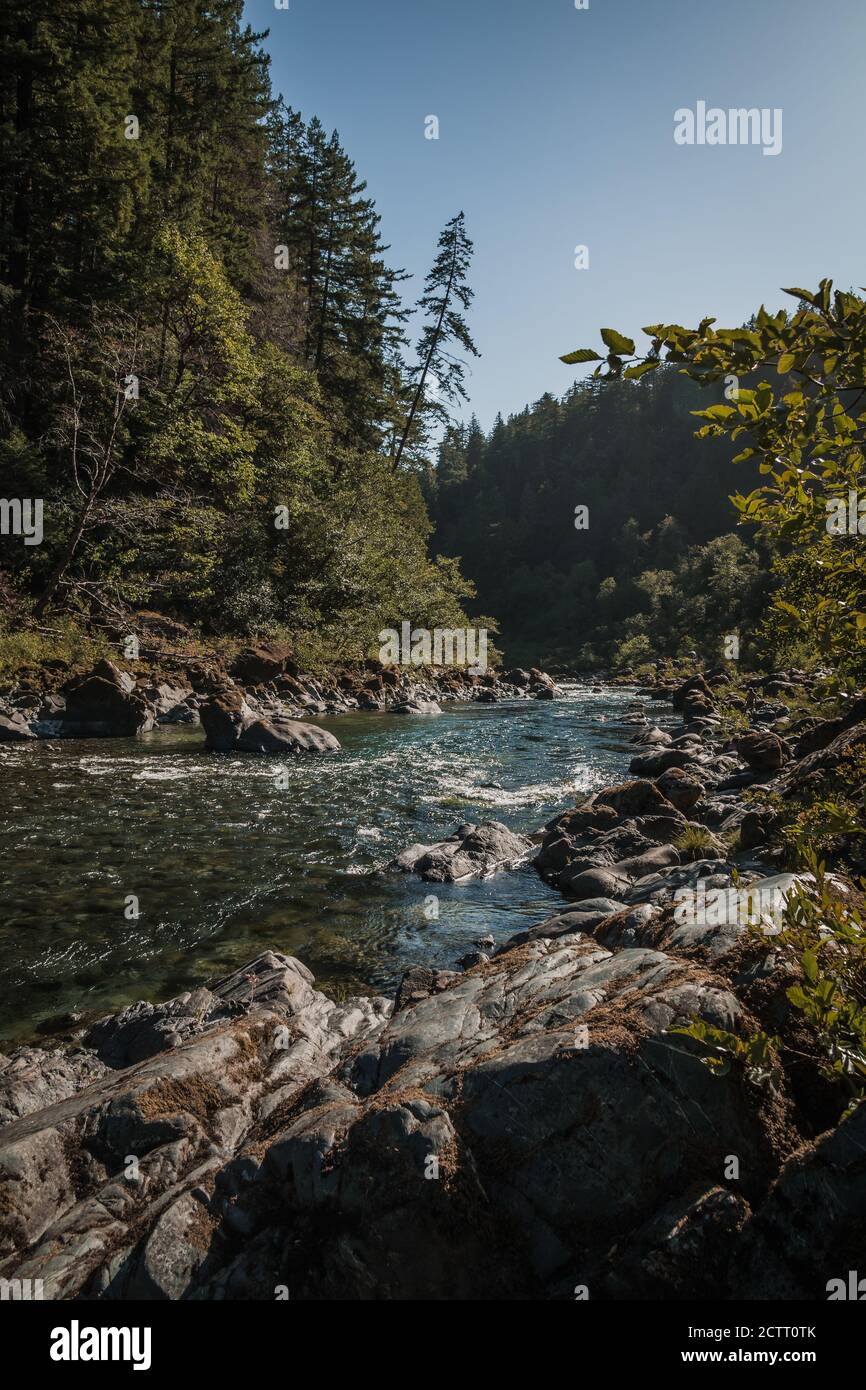 Alto fiume di montagna in estate con acqua bianca piccola increspa le rocce e gli alberi in un paesaggio di foresta che è calma avventura idilliaca pacifica Foto Stock