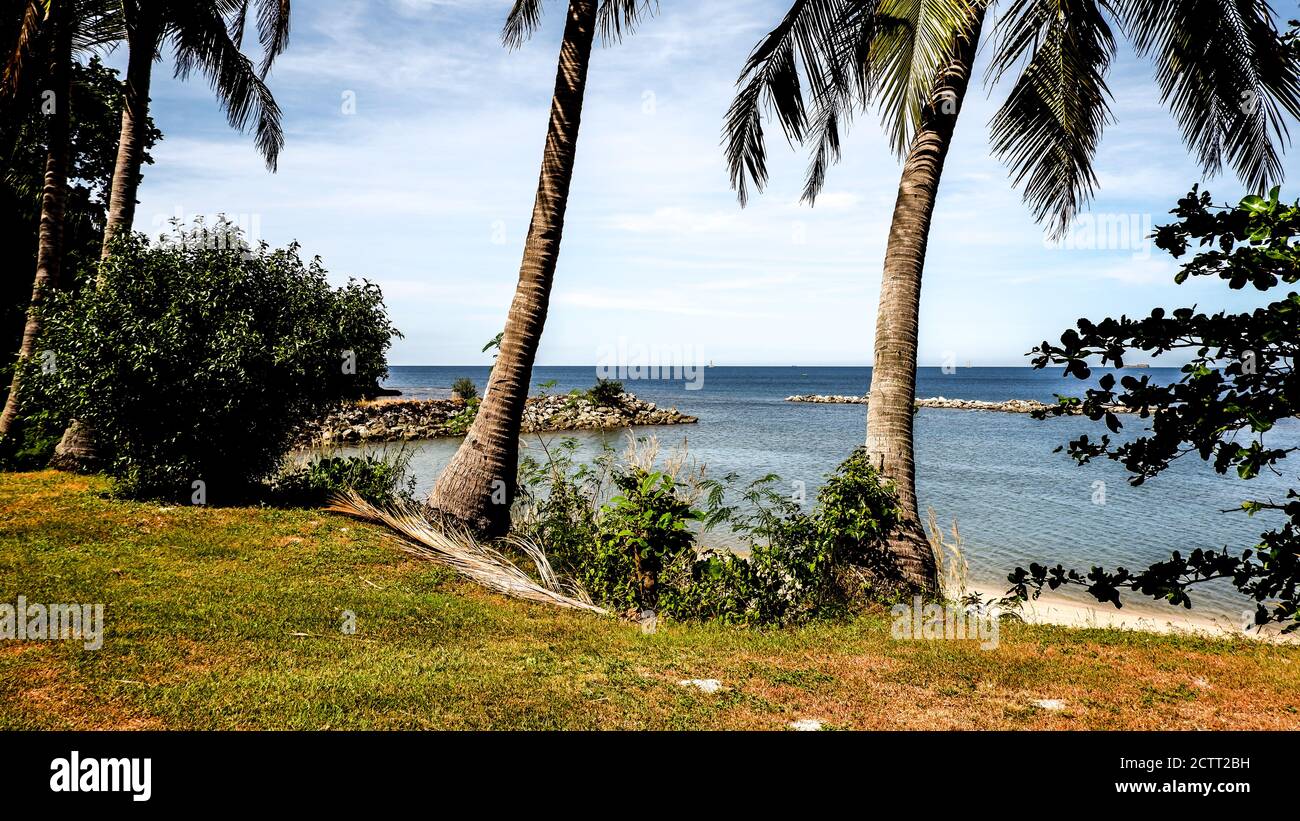 Vista sulla spiaggia con palme da cocco Foto Stock