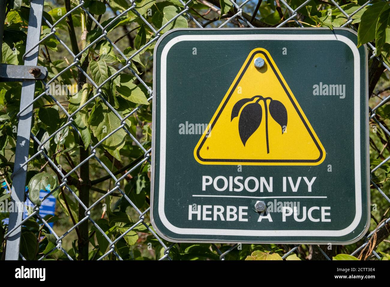 Un cartello bilingue su una recinzione a catena presso un parco pubblico di Ottawa, Canada, avverte della presenza di avvelenamento in entrambe le lingue inglese e francese. Foto Stock