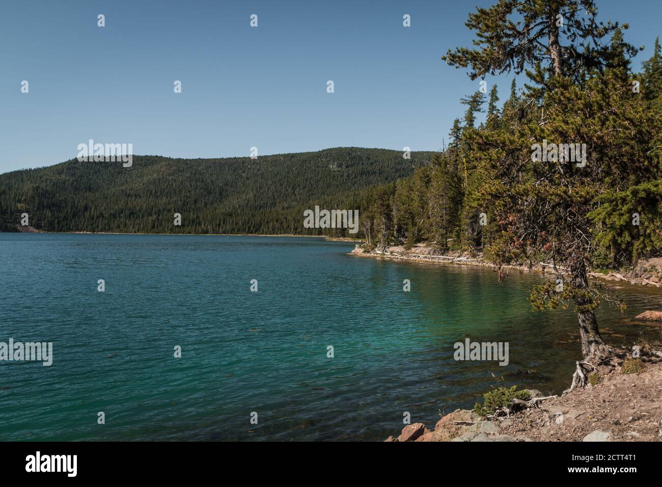 Graziosi colori blu verde che riflettono l'acqua a metà pomeriggio luce sulla linea costiera del lago Paulina in alte cascate di montagna del centro oregon usa. Foto Stock