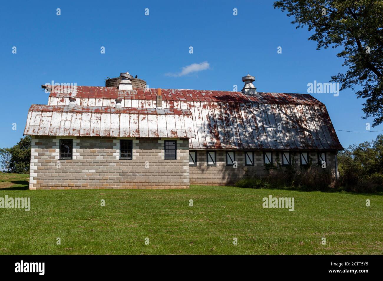 Un'antica casa colonica abbandonata con un alto silo di mattoni e un grande fienile con soffitto di stagno arrugginito. Questo antico complesso di edifici in discesa e' circondato da gr Foto Stock
