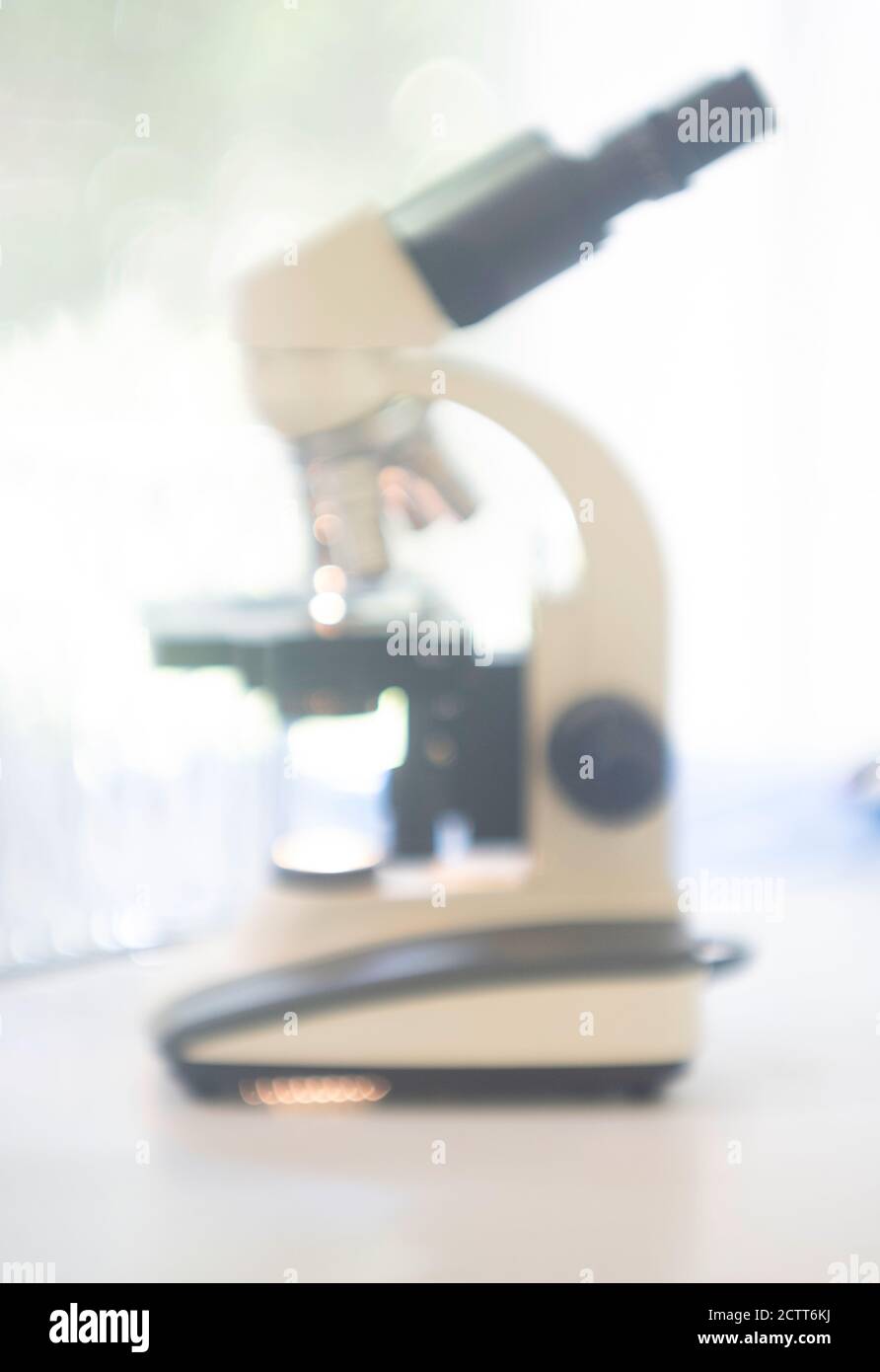 Microscopio in laboratorio Foto Stock