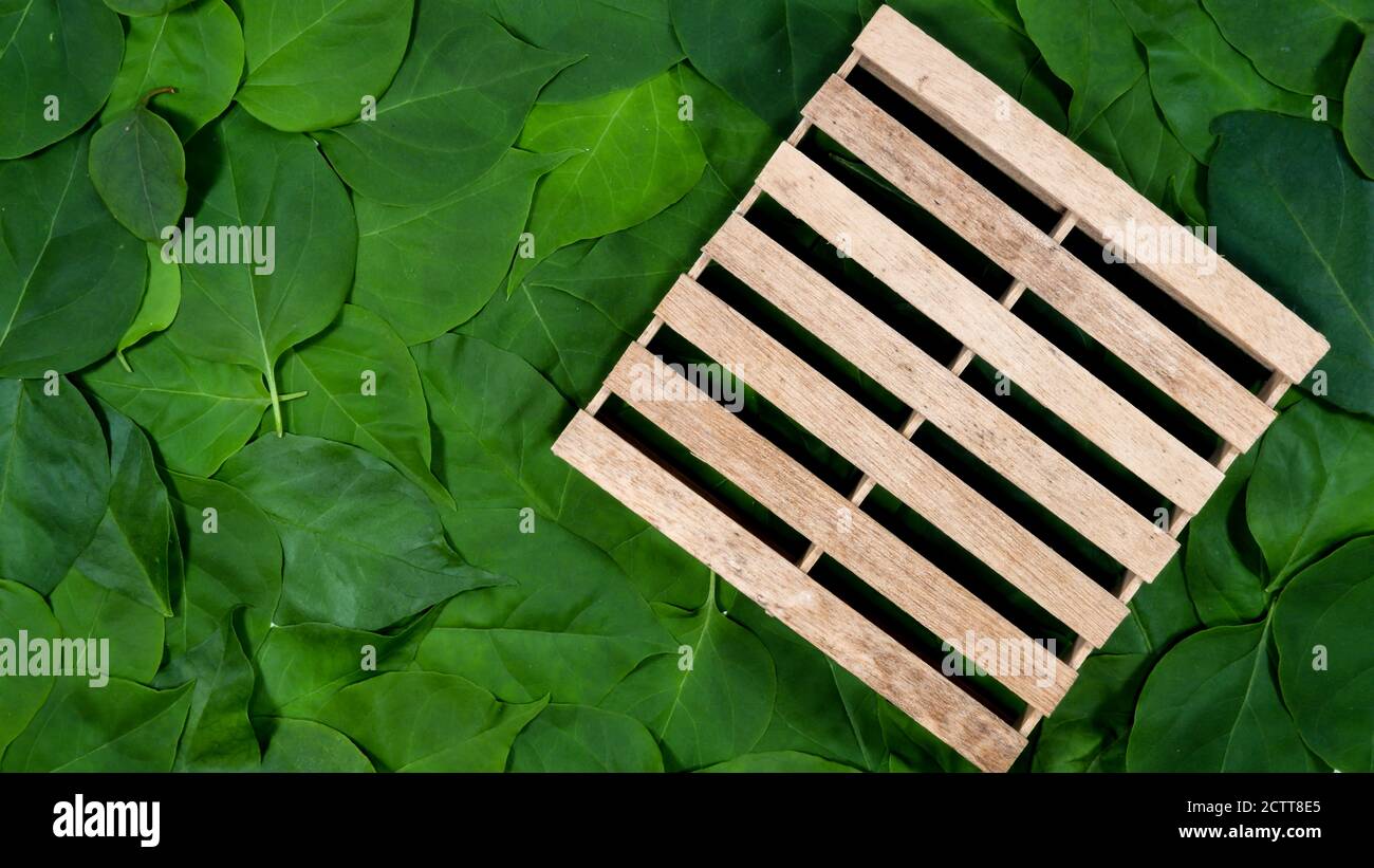 Tavolozza di legno su sfondo verde foglie Foto Stock