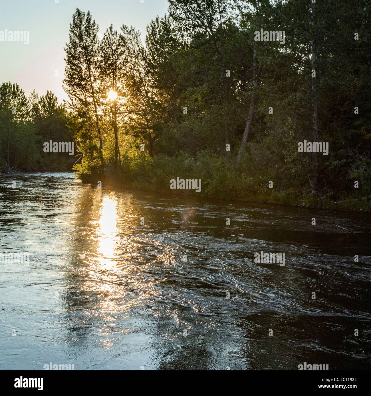 USA, Idaho, Boise, tramonto sulla foresta e sul fiume Foto Stock