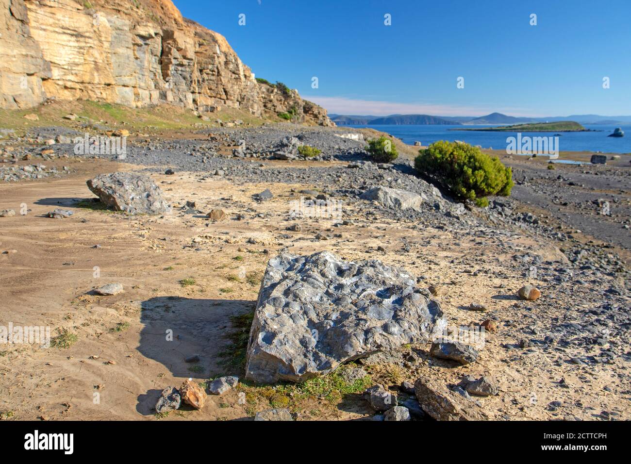 Le falesie fossili su Maria Island Foto Stock