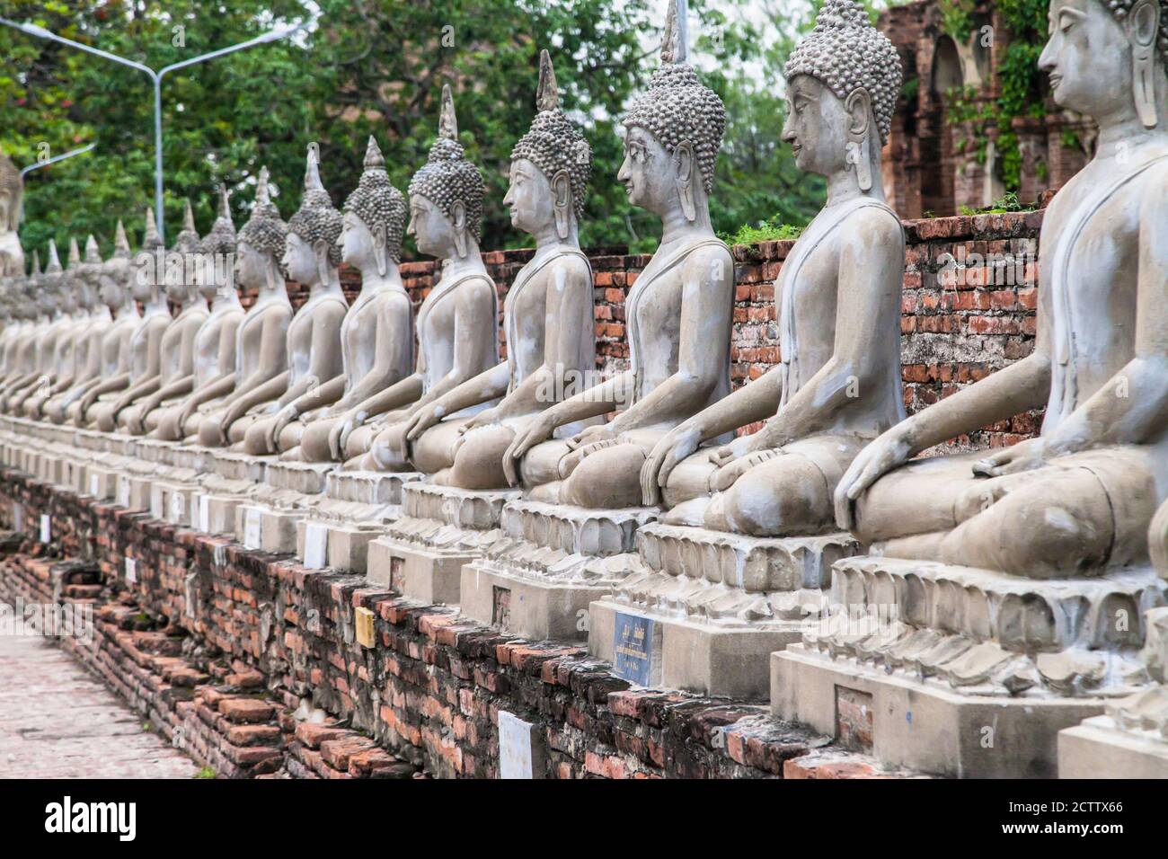 Fila di statue di Buddha di Wat Yai Chai Mongkhon, Ayutthaya, Thailandia. Foto Stock