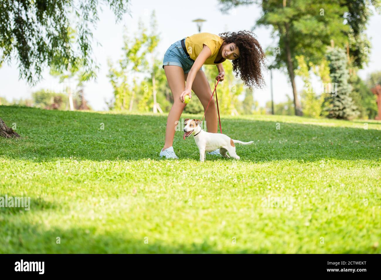 Fuoco selettivo della giovane donna con il cane russell terrier jack su erba Foto Stock
