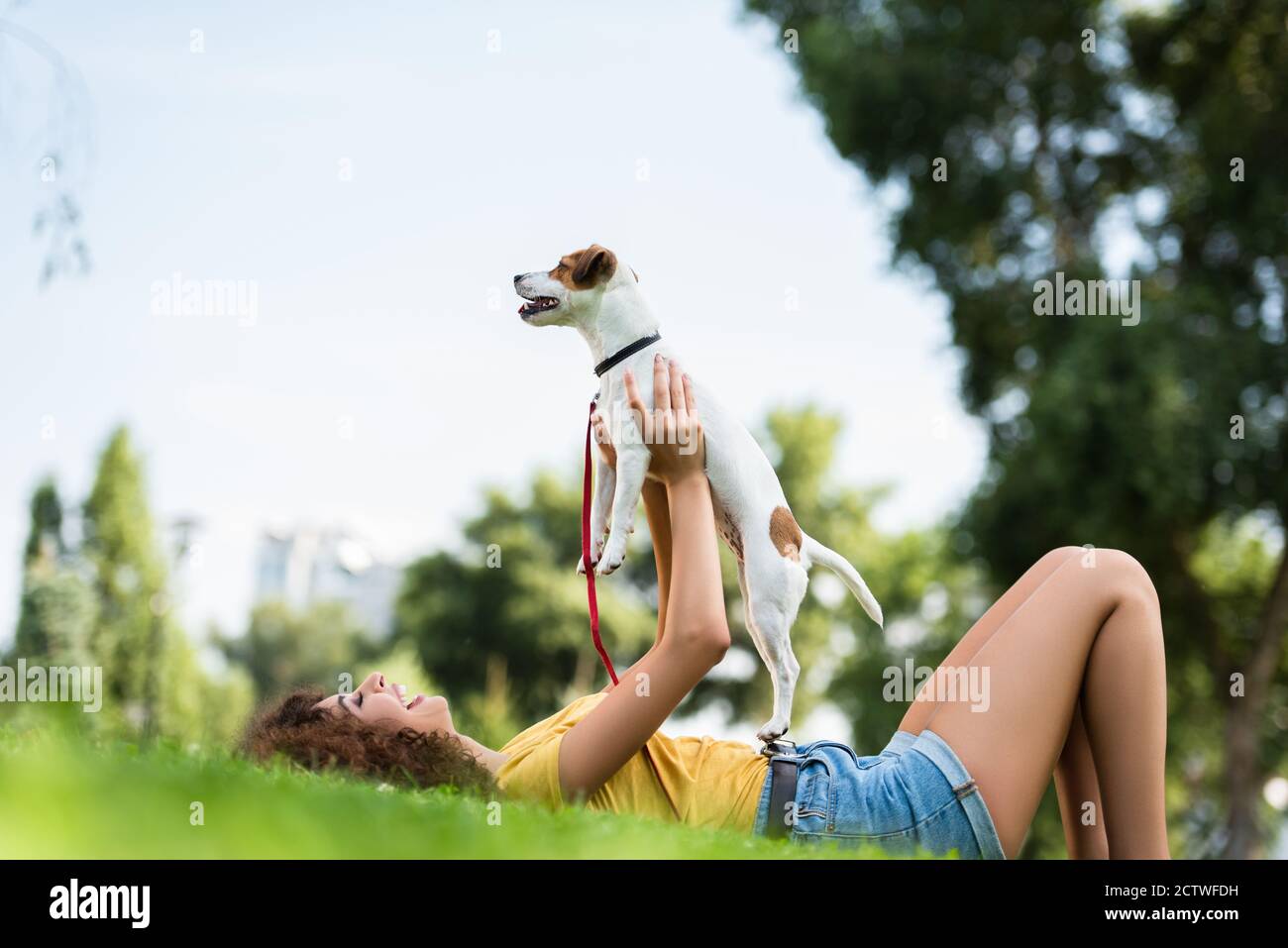 vista a livello della superficie di una donna entusiasta nella tenuta estiva dell'outfit jack russell cane terrier mentre si trova su erba nel parco Foto Stock