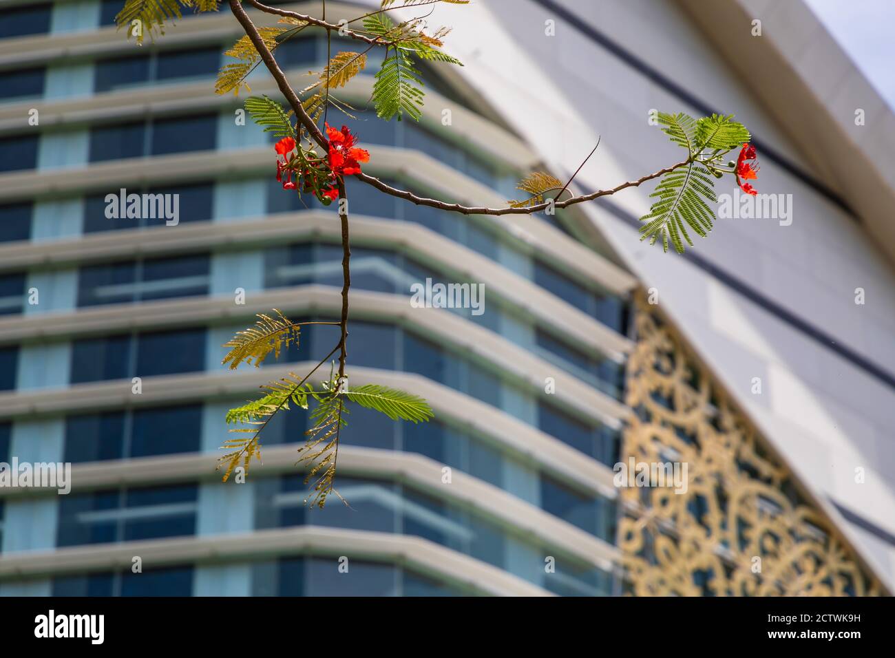 Vista interna della Biblioteca Regionale Sabah al Tanjung Aru Plaza, aperto il 1 aprile 2019. Foto Stock