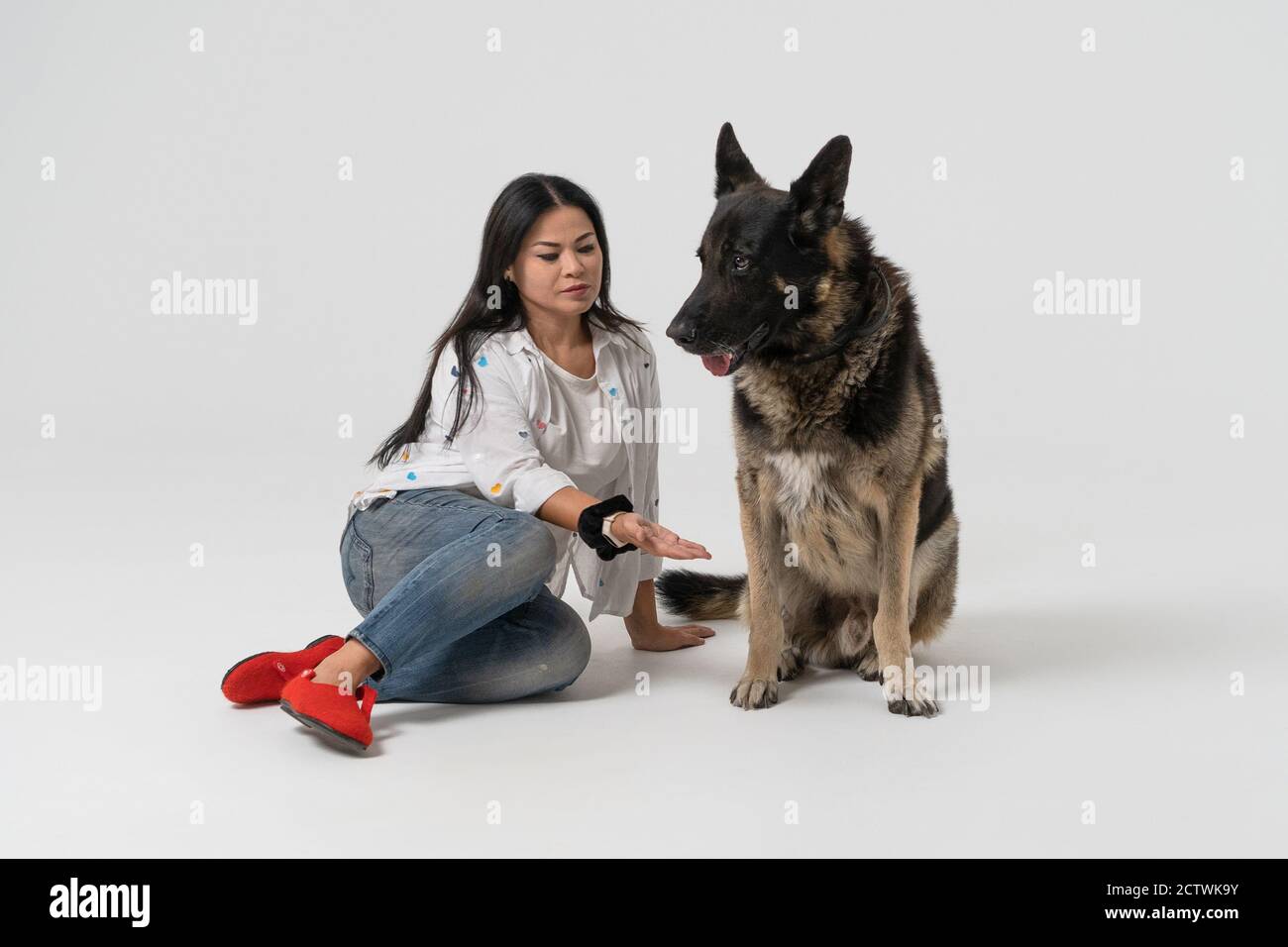 La donna asiatica chiede a un cane da pastore di dare una zampa su uno sfondo isolato. Giovane donna e un cane si siedono sul pavimento dello studio. Foto di alta qualità Foto Stock