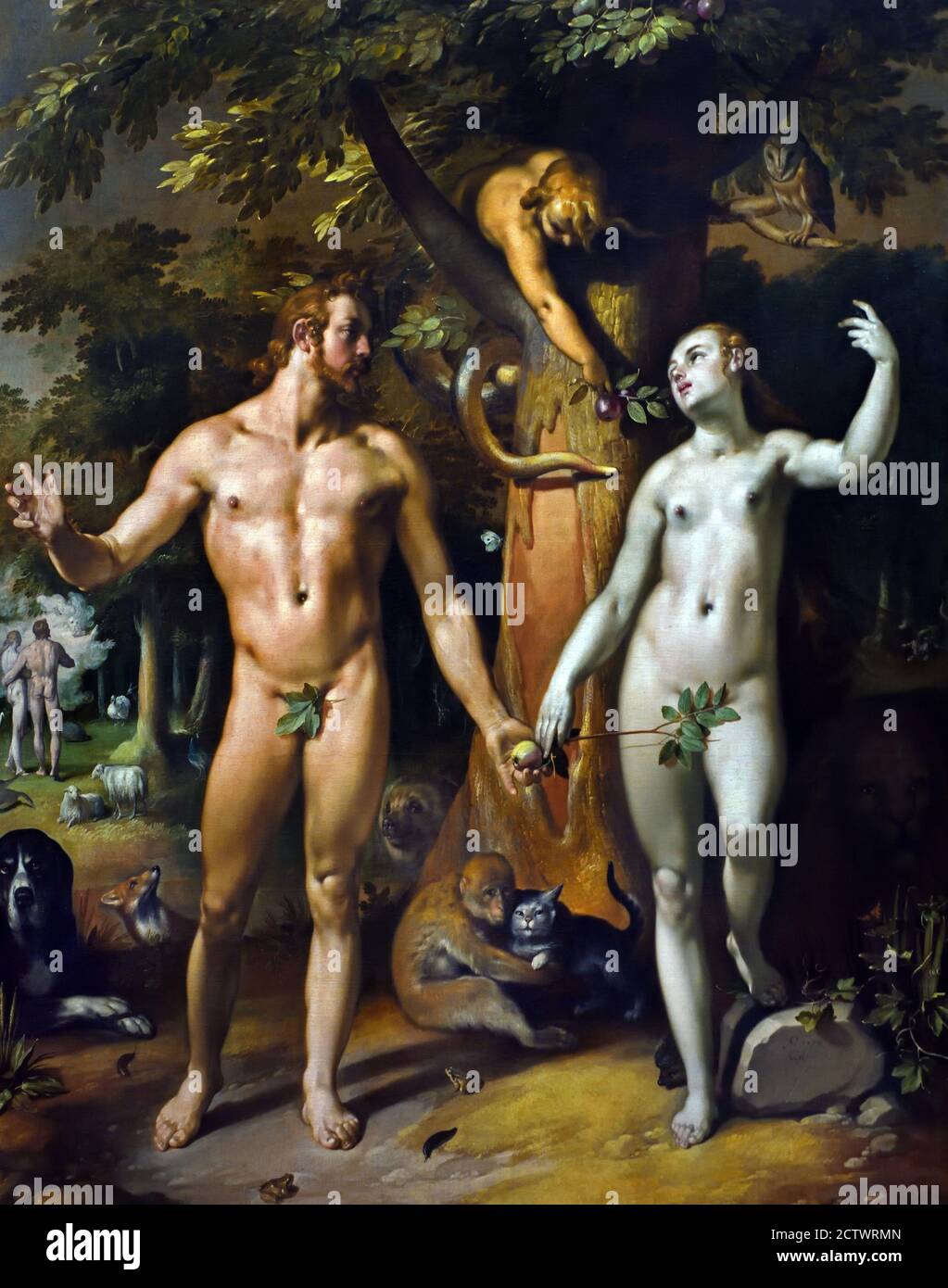 La caduta dell'uomo ( Adamo ed Eva ) Cornelis Cornelisz van Haarlem 1562-1638 olandese Paesi Bassi Foto Stock