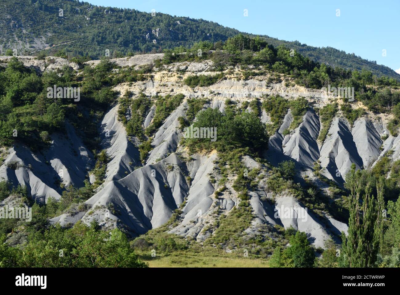 Formazioni rocciose ondulate di arenaria o Marl Nero noto come Robines Blieux Alpes-de-Haute-Provence Provenza Provenza Francia Foto Stock
