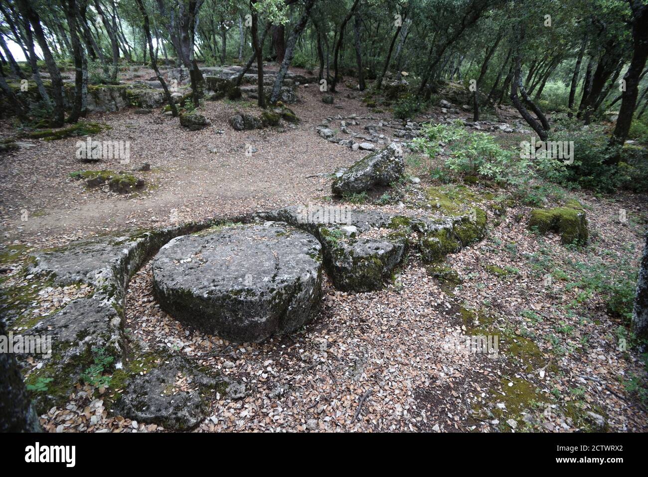 Resti di Millstones parzialmente tagliato in una cava di Millstone ex Nella Foresta di Ganagobie Alpes-de-Haute-Provence Provenza Francia Foto Stock