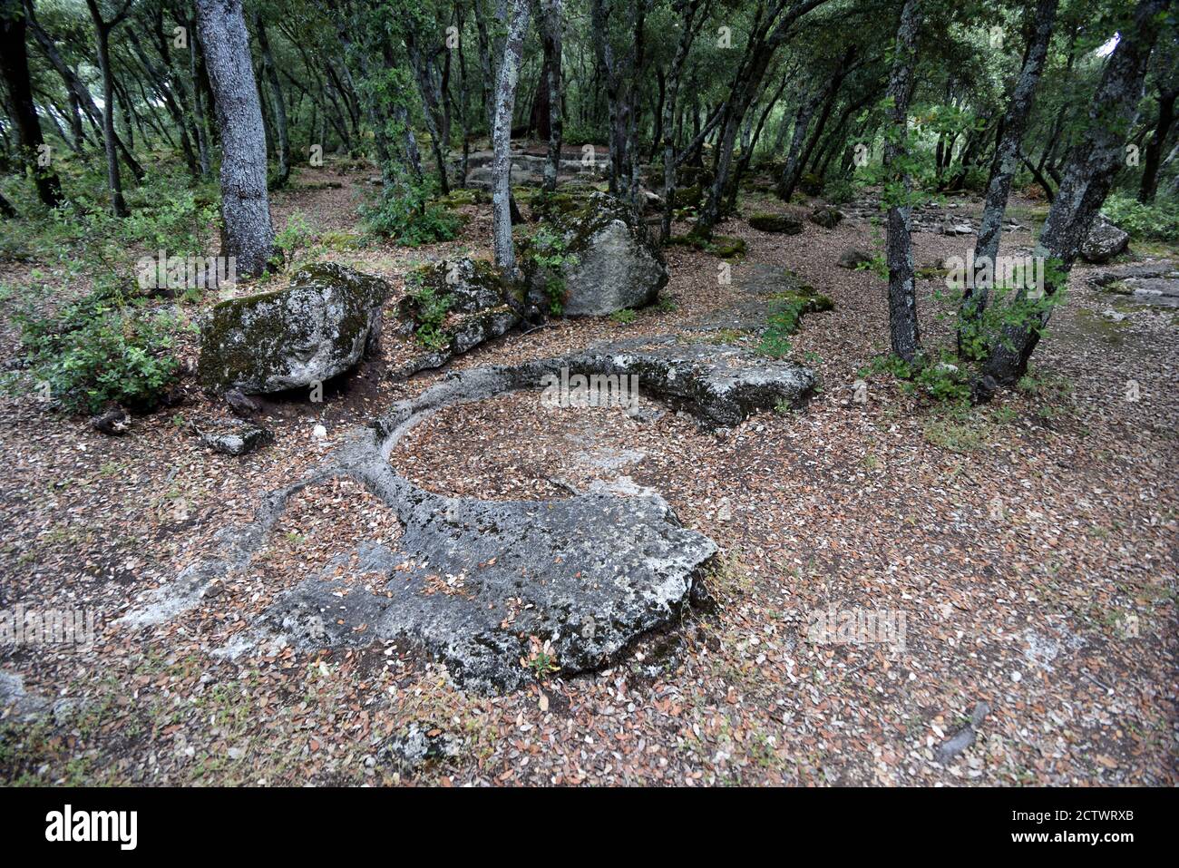 Resti di Millstones parzialmente tagliato in una cava di Millstone ex Nella Foresta di Ganagobie Alpes-de-Haute-Provence Provenza Francia Foto Stock