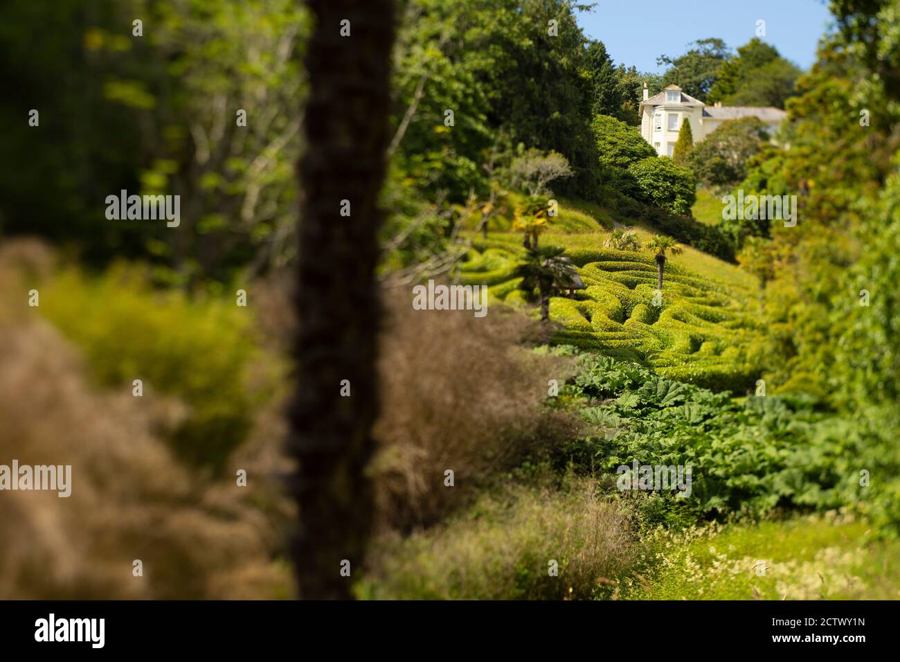 Giardino labirinto Glendurgan. Foto Stock