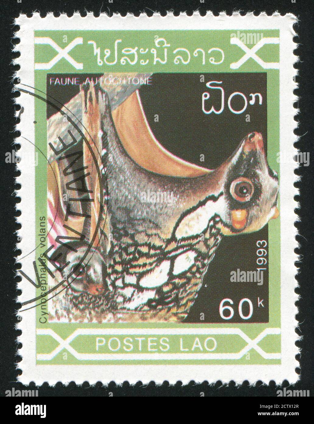 LAOS CIRCA 1993: Francobollo stampato dal Laos, spettacoli Flying Lemur, circa 1993 Foto Stock
