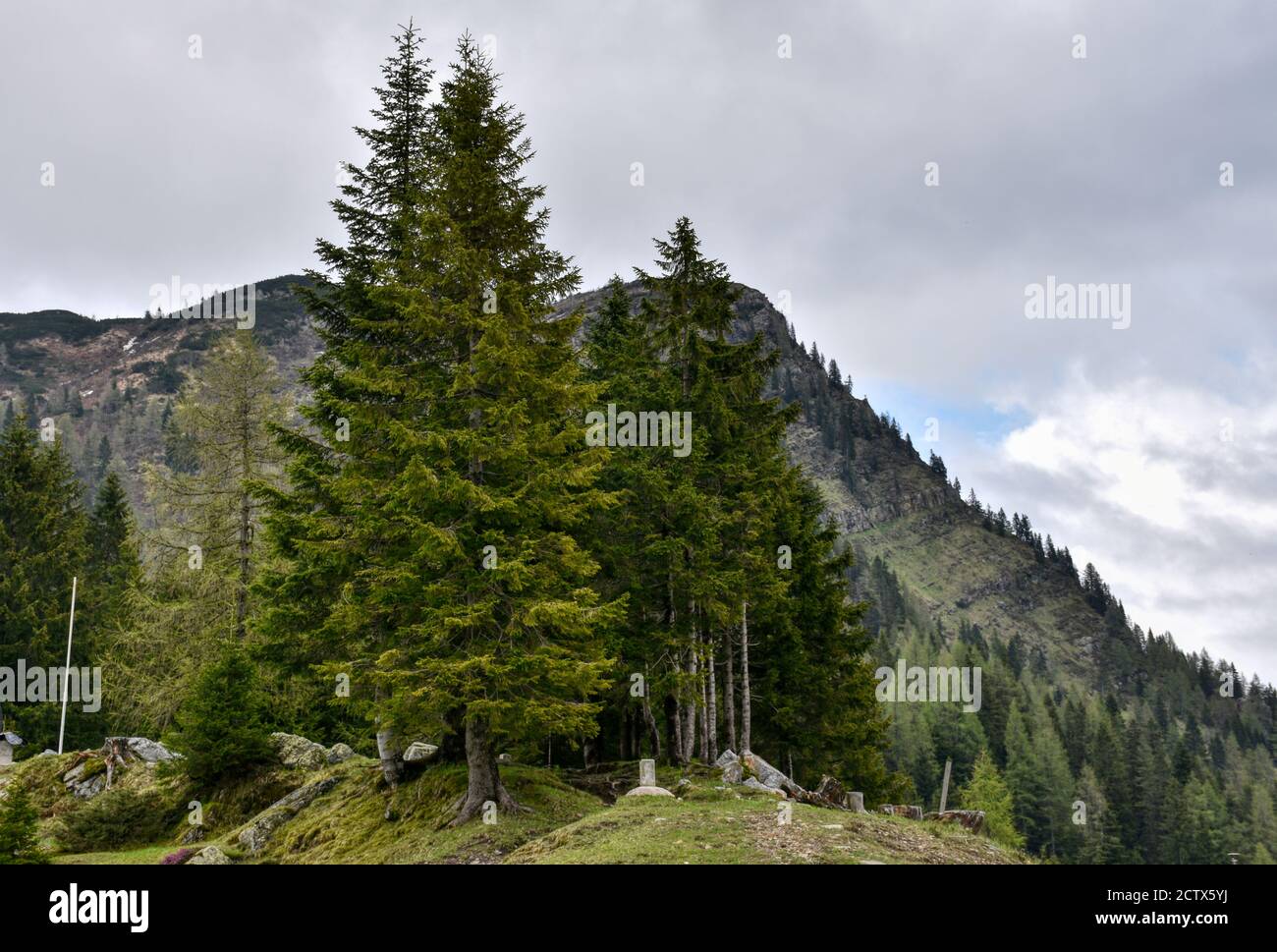 Grenze, Grenzstein, Ö, Markierung, Verlauf, grenzverlauf, Staatsgrenze, EU, Landesgrenze, Staat, Staaten, Österreich, Italien, Kärnten, Nassfeld, Nass Foto Stock