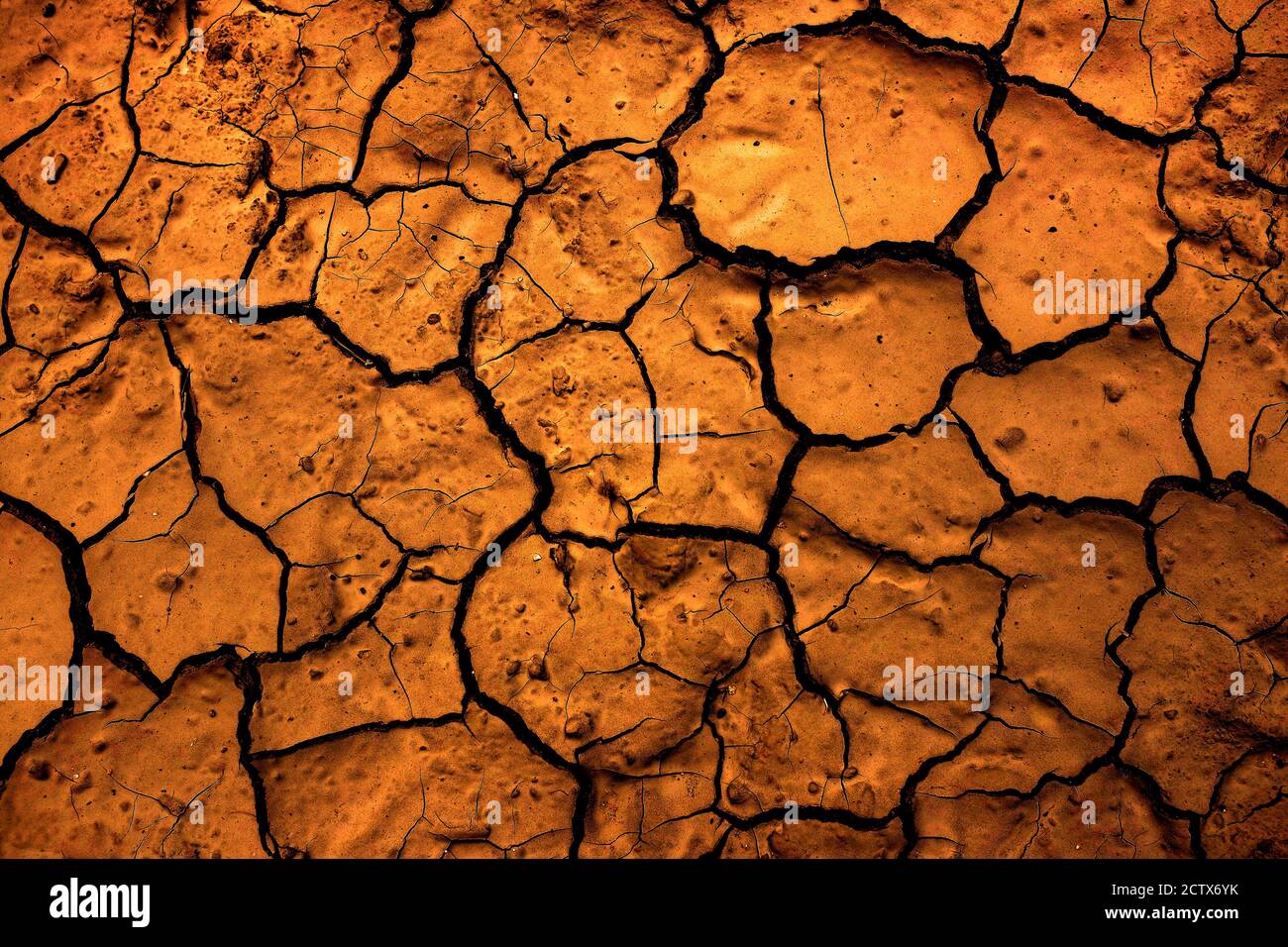Dettaglio di sporco secco incrinato terreno rotto siccità terra asciutta Foto Stock