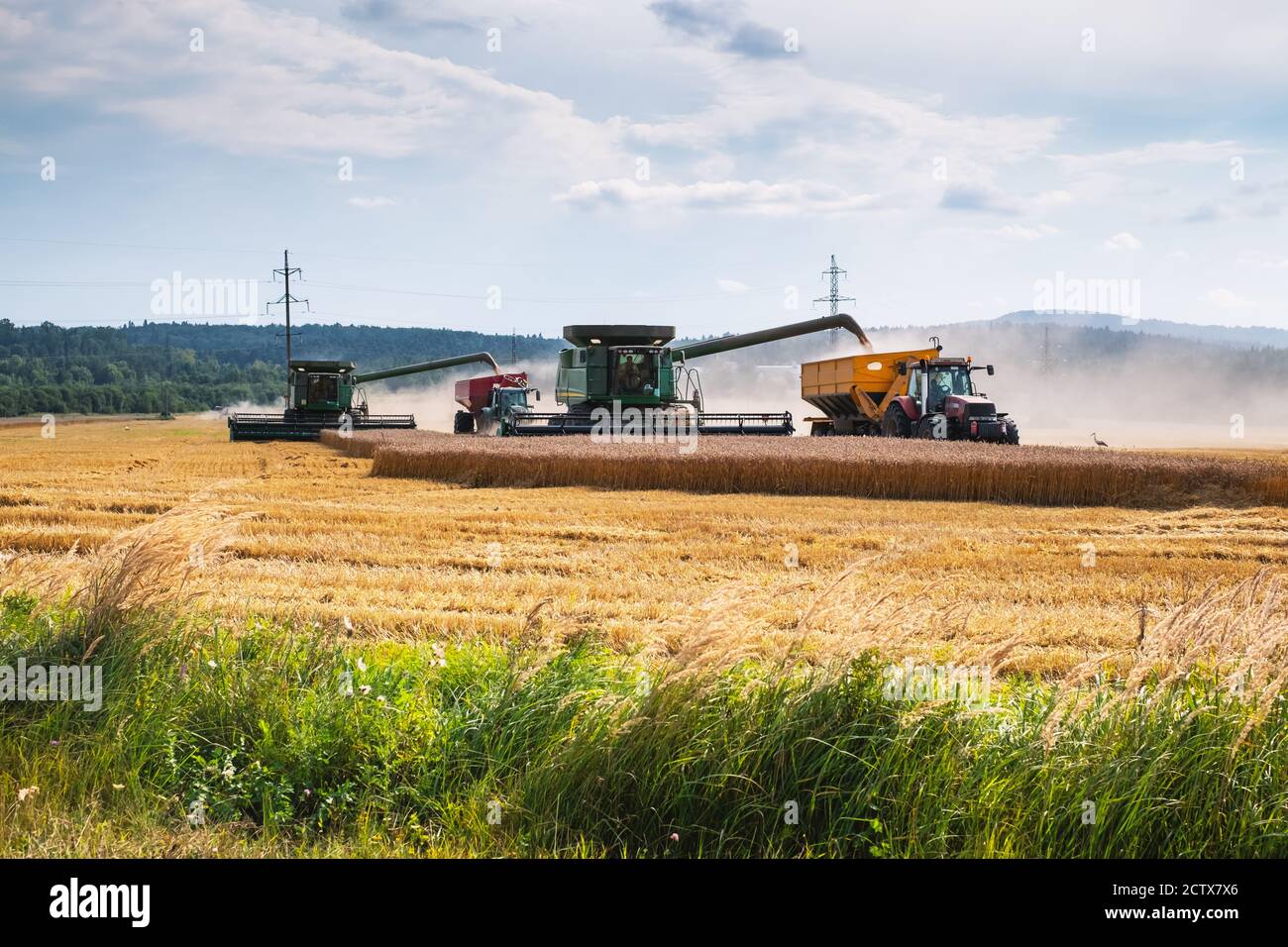 Raccolta del grano in campo autunnale. Un trattore moderno si trova direttamente accanto alla mietitrebbia e trasporta grano Foto Stock