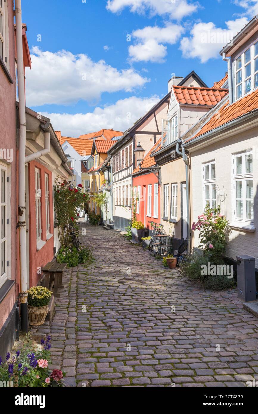 Strada acciottolata cucita con case medievali inclinate nel centro storico di Aalborg, Danimarca Foto Stock