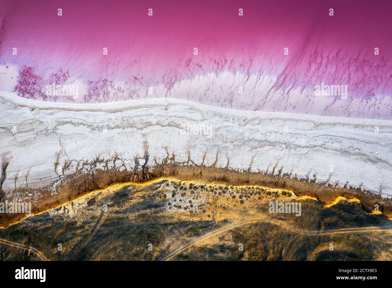 Vista astratta dell'acqua salata del lago rosa dal drone. Concetto creativo di colore naturale. Sfondo della vista superiore Foto Stock