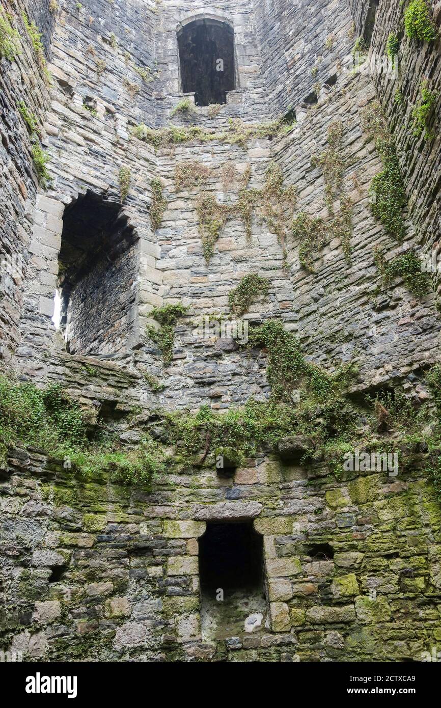 Castello di Beaumaris, Anglesey Galles del Nord Regno Unito. Gestito da Cadw. Foto Stock