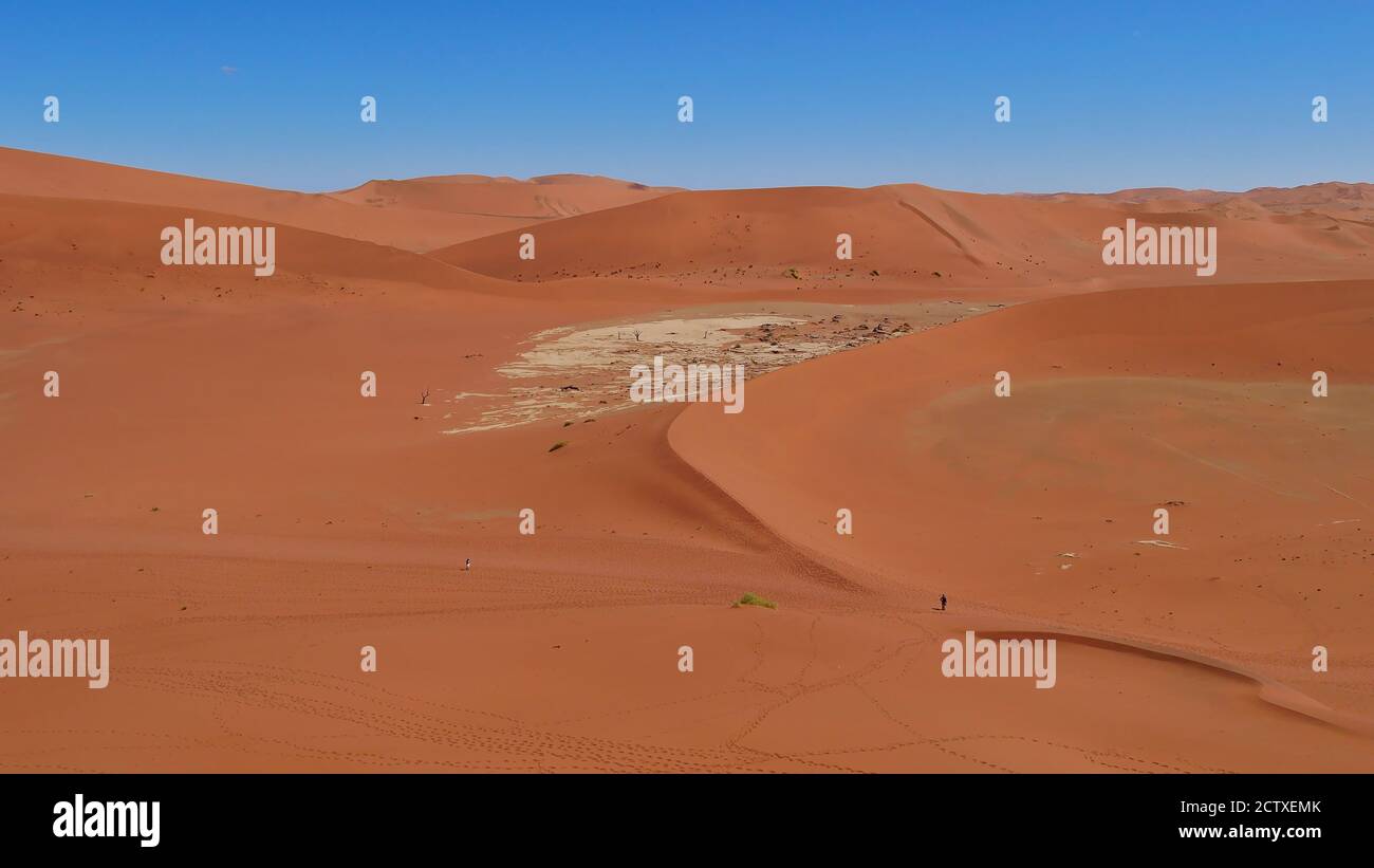 Vista aerea delle grandi dune di sabbia arancione con due persone che camminano nella valle di Sossusvlei, deserto del Namib, Namibia, Africa. Cielo blu senza nuvole. Foto Stock
