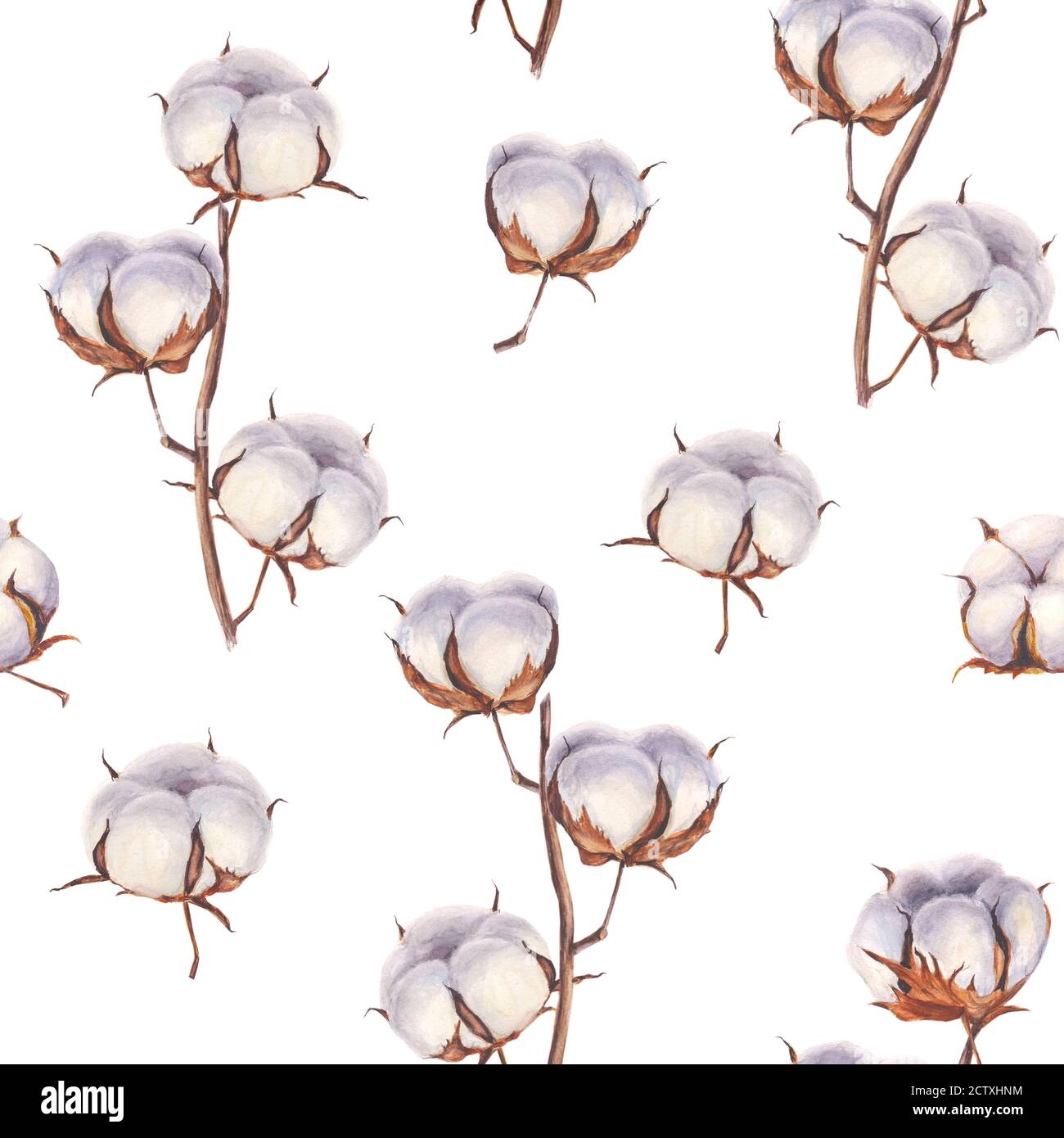 Cotone fiore eco boccioli rami motivo senza cuciture. Tessuto di cotone disegnato a mano con acquerello. Illustrazione botanica vintage su sfondo bianco. F Foto Stock