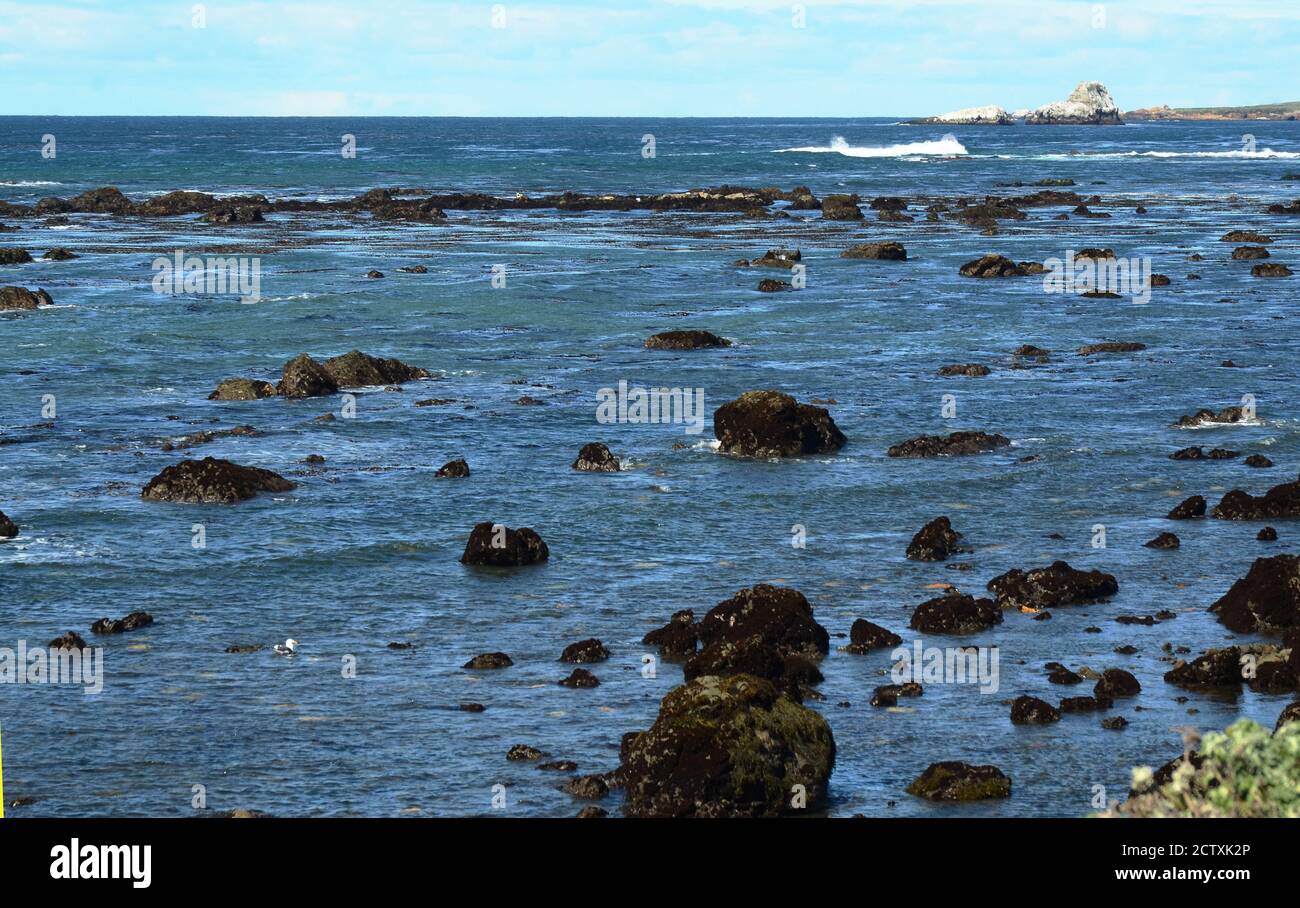 Mare di grande bellezza della costa cemtrale californiana. Questa è San Simeon vista rocciosa dell'Oceano Pacifico con lontano cielo chiaro e nuvoloso. Foto Stock