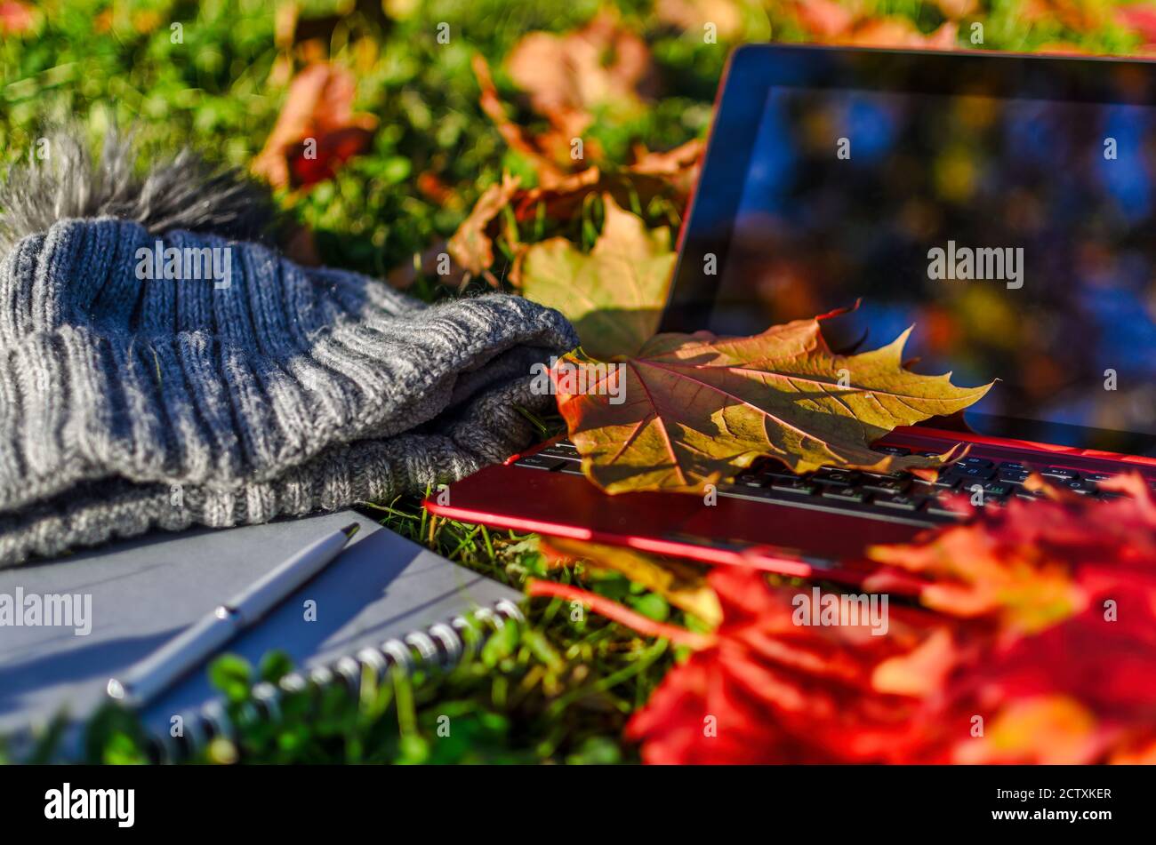 Concetto autunnale di lavoro remoto e apprendimento a distanza Foto Stock