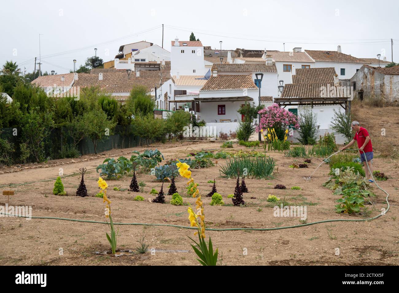 Villaggio di Pedralva in Algarve, a sud del Portogallo. E 'stato costruito dalle rovine di un tradizionale villaggio portoghese e molte case sono in affitto. Foto Stock