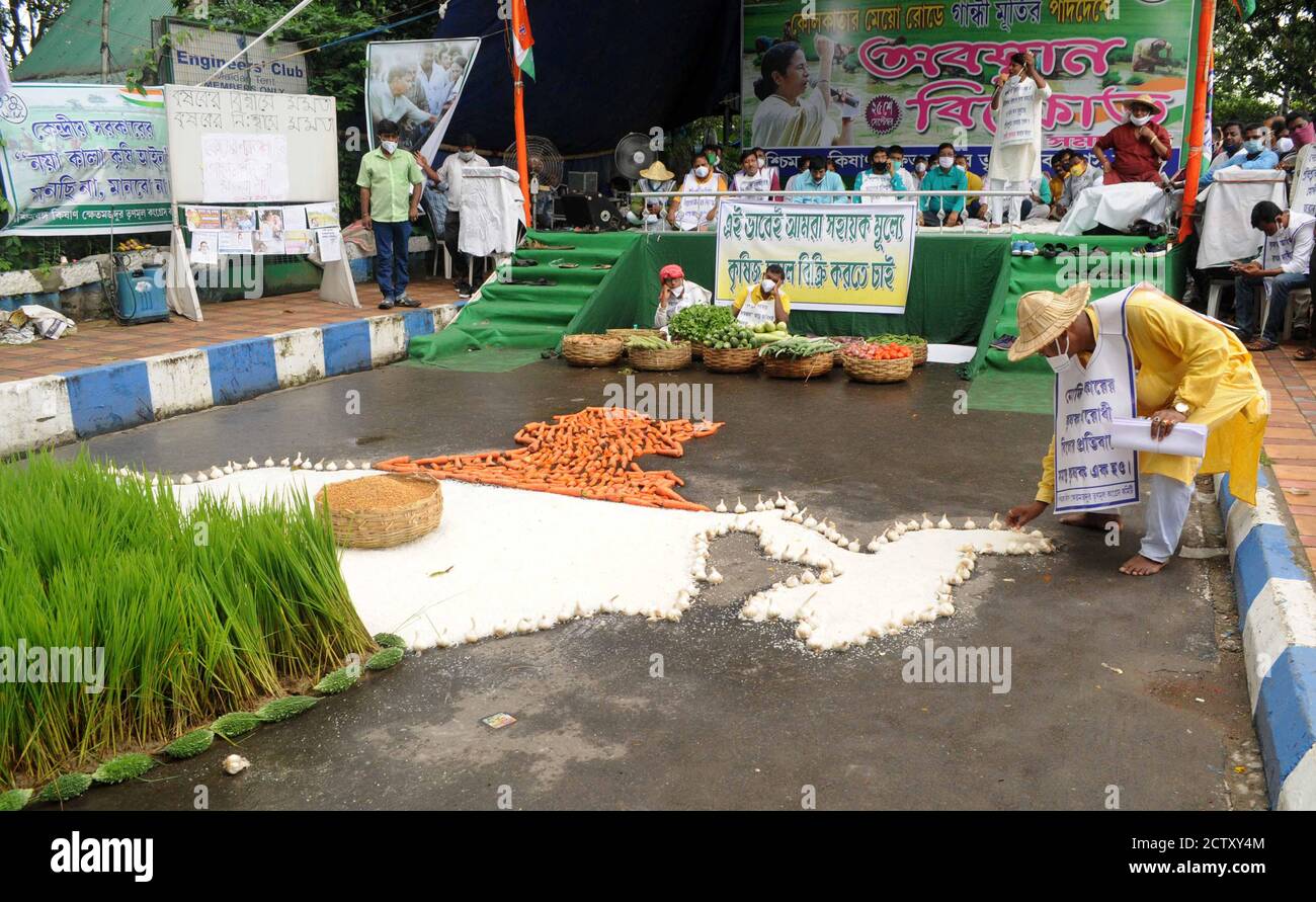 Kolkata, India. 25 Settembre 2020. Bengala Occidentale Kishan Majdoor Trinamool Congresso attivista prendere parte a dimostrazione di protest contro Farm Bill vicino alla statua di Gandhi. (Foto di Ved Prakash/Pacific Press/Sipa USA) Credit: Sipa USA/Alamy Live News Foto Stock