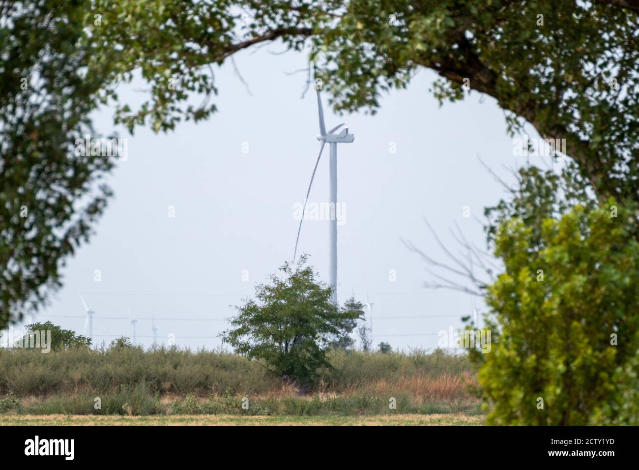 Elettrogeneratore di vento in piedi in campo estivo. Guardando attraverso il ramo verde dell'albero. Energia verde in campagna. Turbine ucraine, generazione di energia Foto Stock