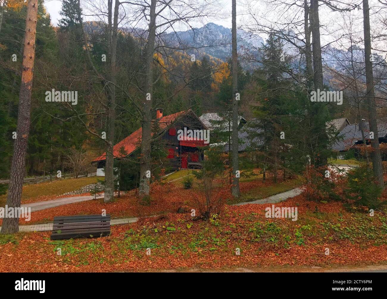 Idilliaco paesaggio autunnale in Slovenia. Bosco di conifere. Vista su accoglienti case di villaggio di montagna nelle Alpi Giulie slovene. Discesa panoramica delle foglie. Kranjska gora Foto Stock